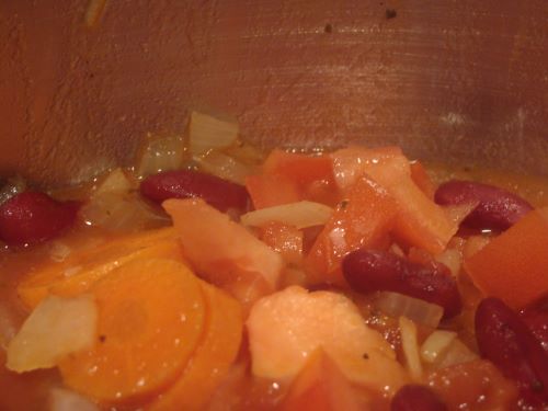 Close-up of vegetable stew including carrots, tomatoes and onions