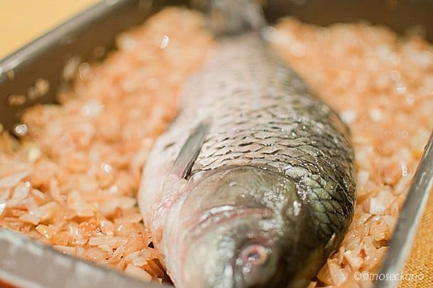 Close-up of a whole carp fish on a pan of diced caramelized onions