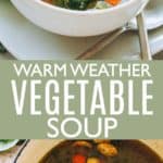 VEGETABLE SOUP PIN IMAGE