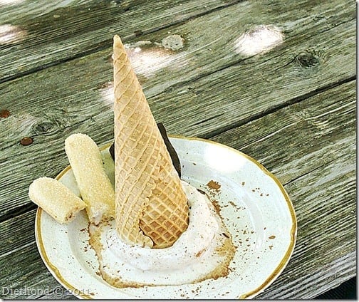 Tiramisu Ice Cream cone inverted on a plate with ladyfingers