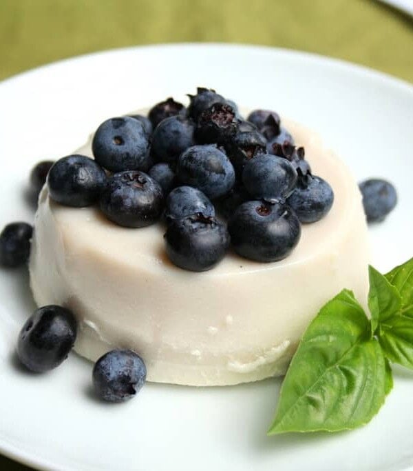 Panna cotta served on a plate topped with blueberries.