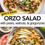 Orzo salad Pinterest image.