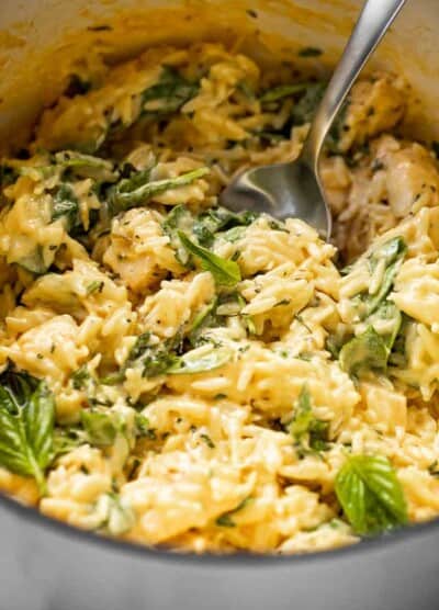 close up side shot of cheesy chicken orzo in a white pot