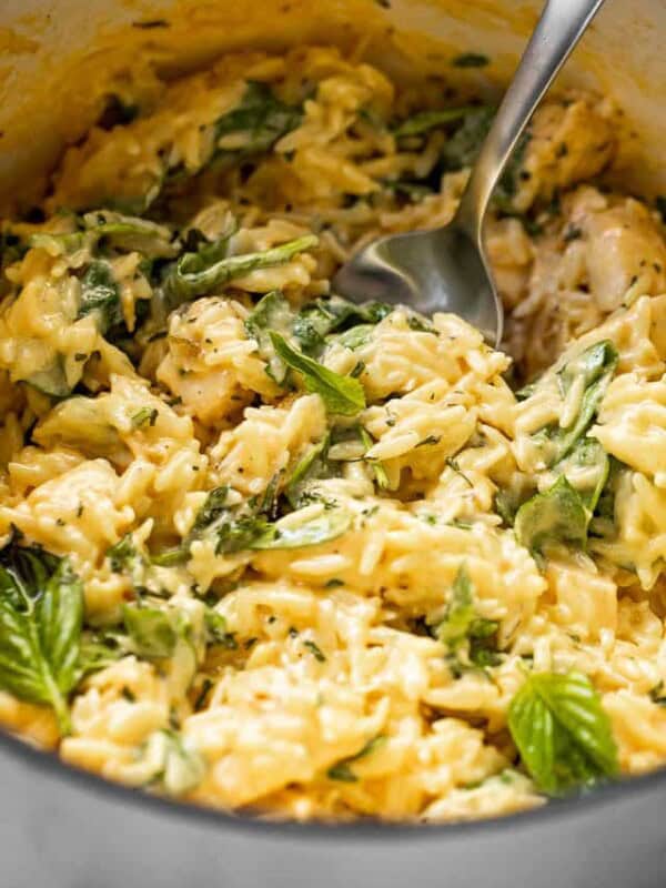 close up side shot of cheesy chicken orzo in a white pot