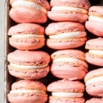 French macarons with marshmallow filling lined up in rows.