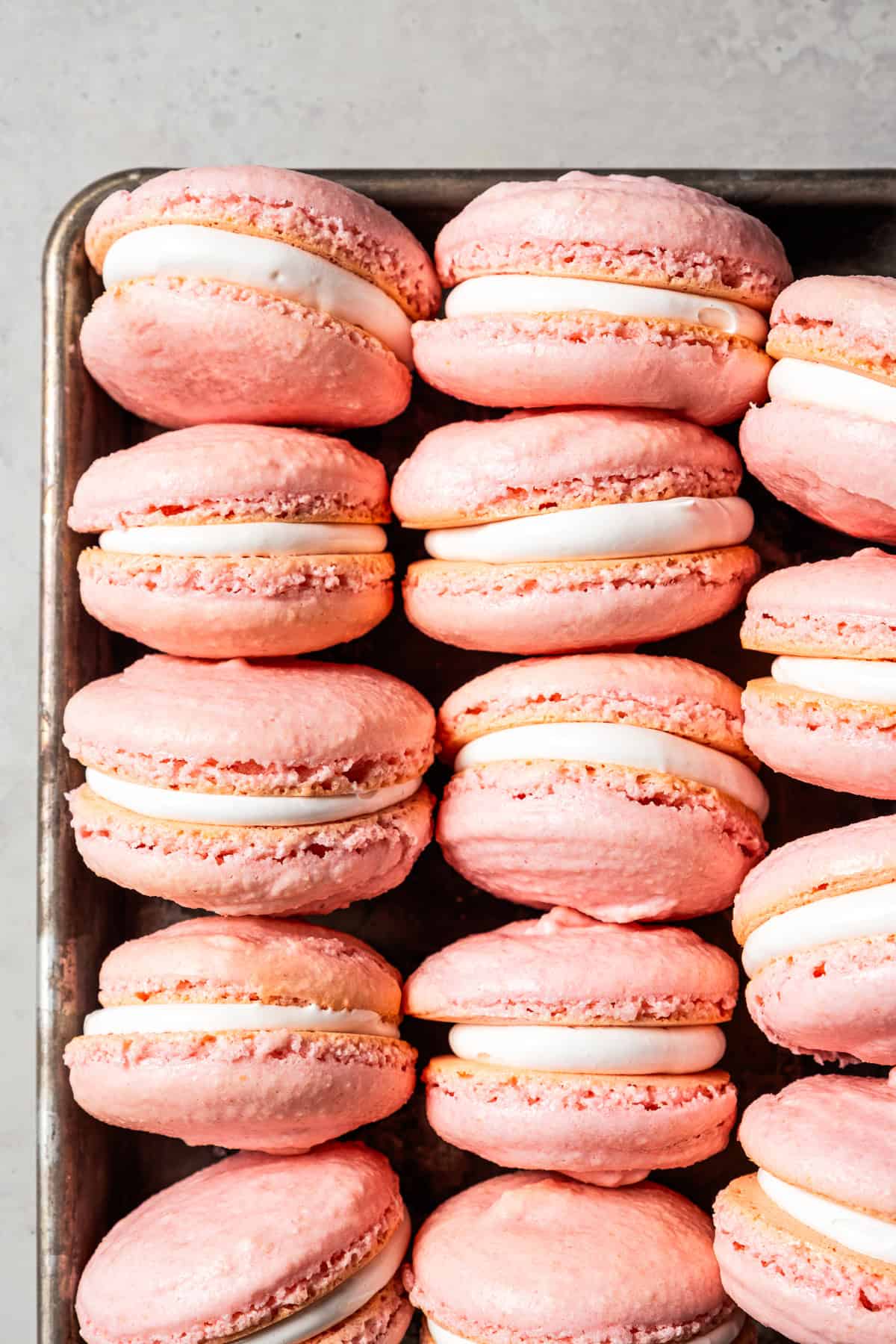 French macarons with marshmallow filling lined up in rows.