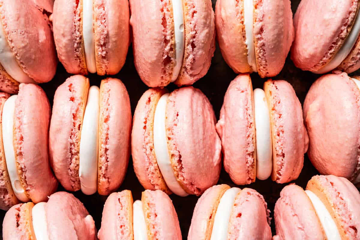 French macarons lined up in rows.