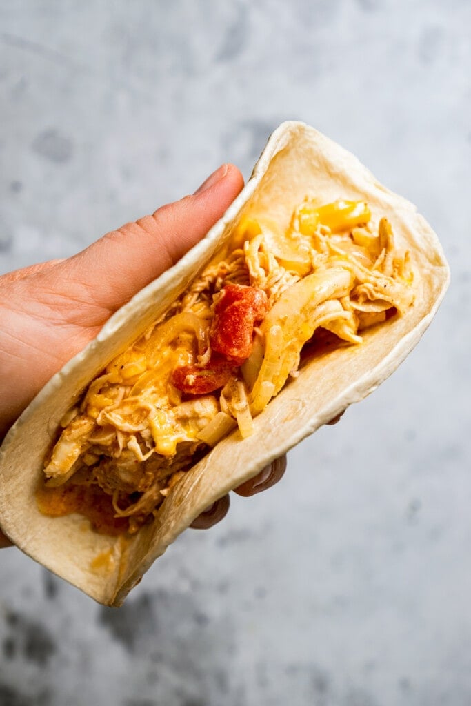 A hand holding up a flour tortilla filled with cooked, shredded chicken and cheese.