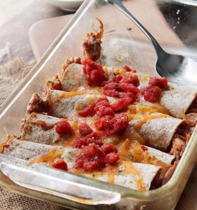 Chicken Enchiladas | www.diethood.com | Rolled tortillas loaded with chicken, tomatoes and a creamy, cheesy sauce | #recipe #dinner #tacos #enchiladas