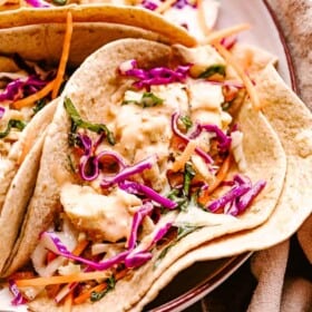 Close-up shot of several fish tacos arranged on a serving plate.