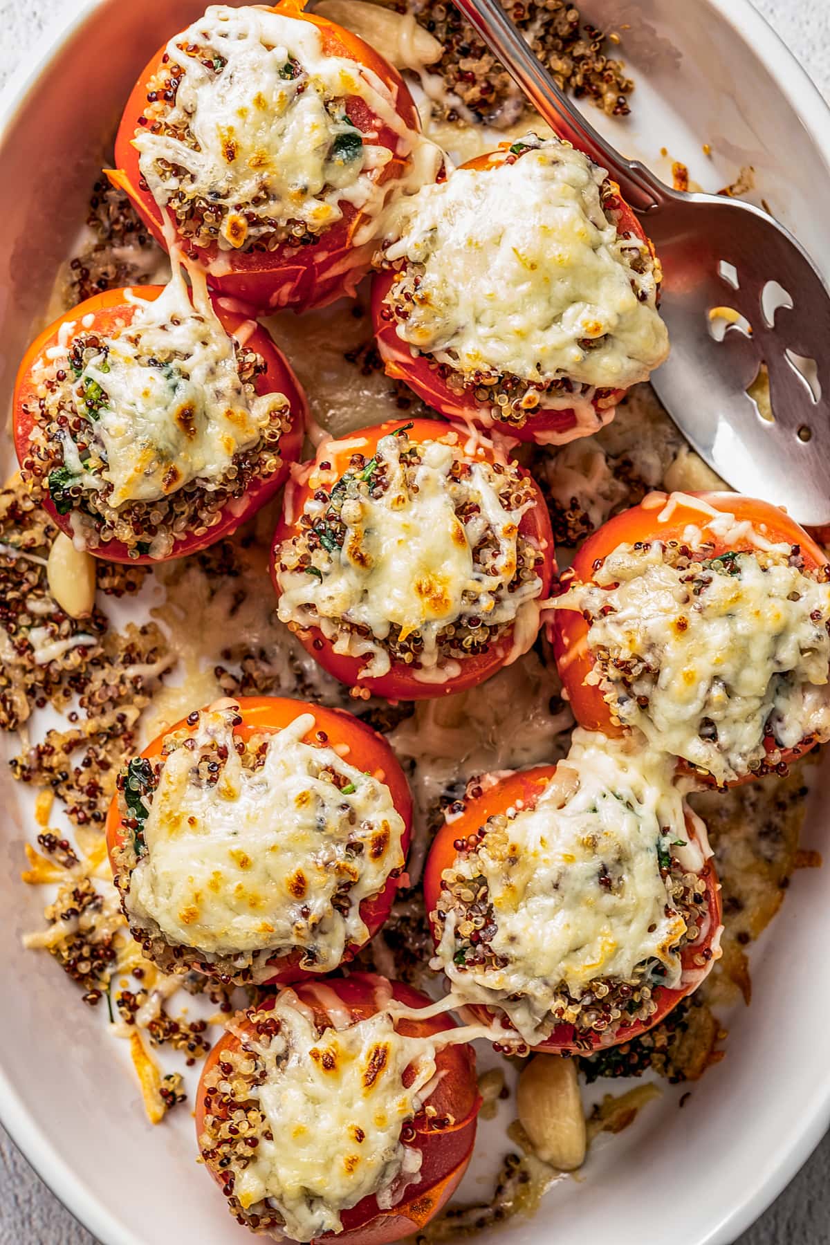 Overhead view of quinoa stuffed tomatoes topped with melted cheese in a white ceramic baking dish.