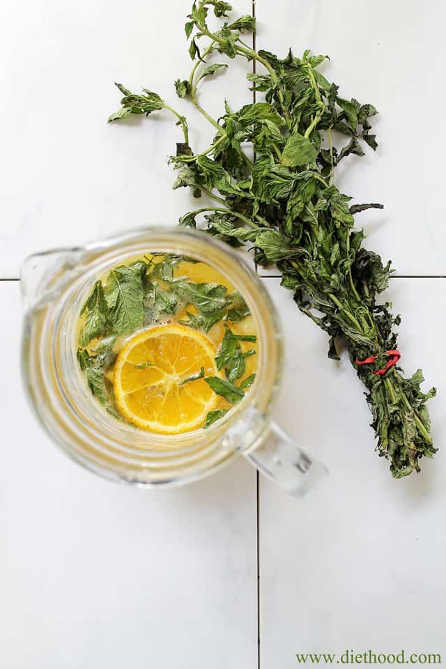 Citrus Mint Spritzer | www.diethood.com | #summer #drinks #spritzer #recipe 