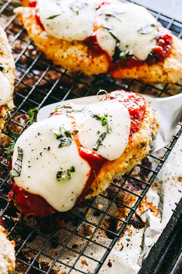 Baked chicken parmesan, cooling.