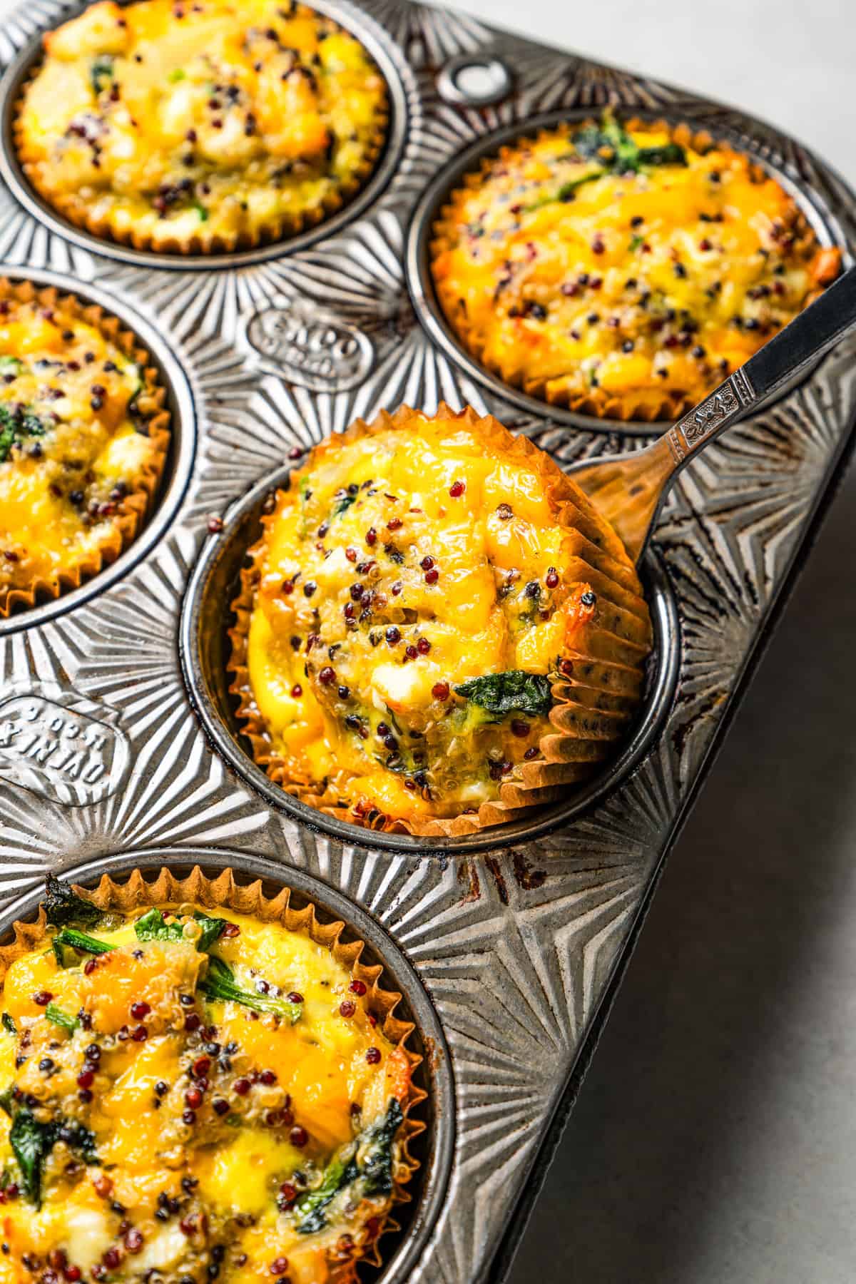 A fork lifting a quiche muffin from a metal muffin pan filled with more quiche muffins.