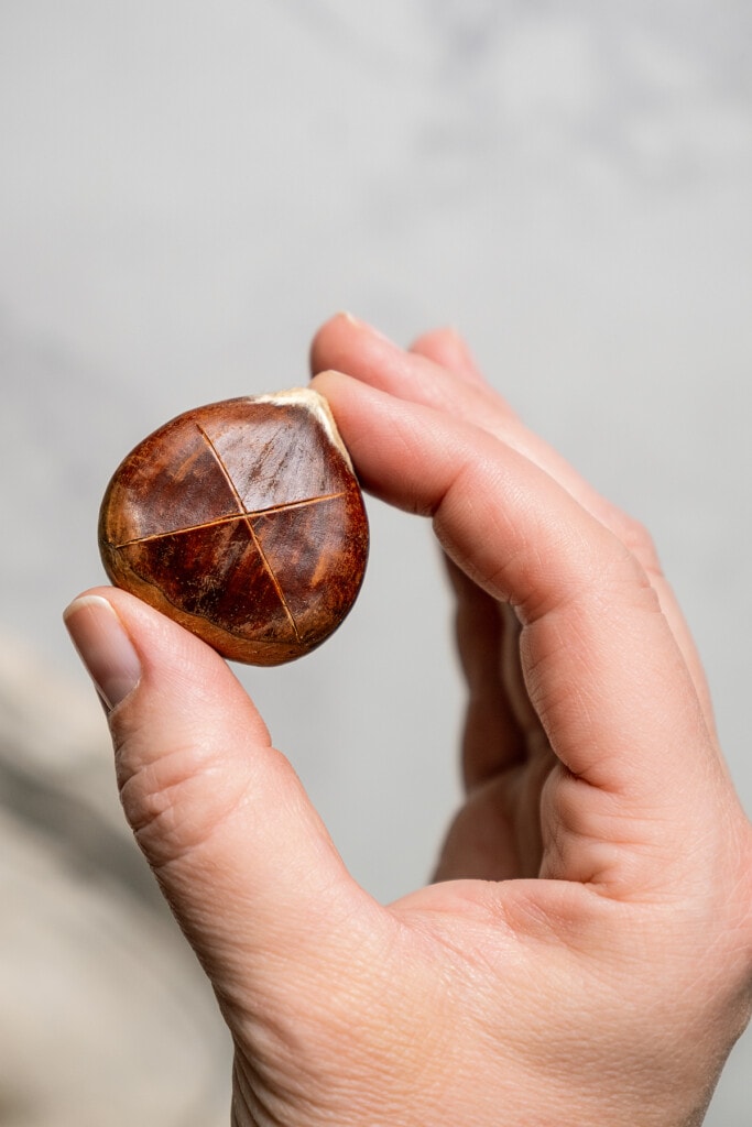 A hand holding a fresh chestnut with an X in the skin.