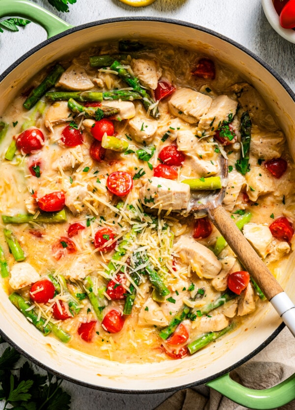 200+ Easy and Healthy Chicken Dinner Recipes | Diethood