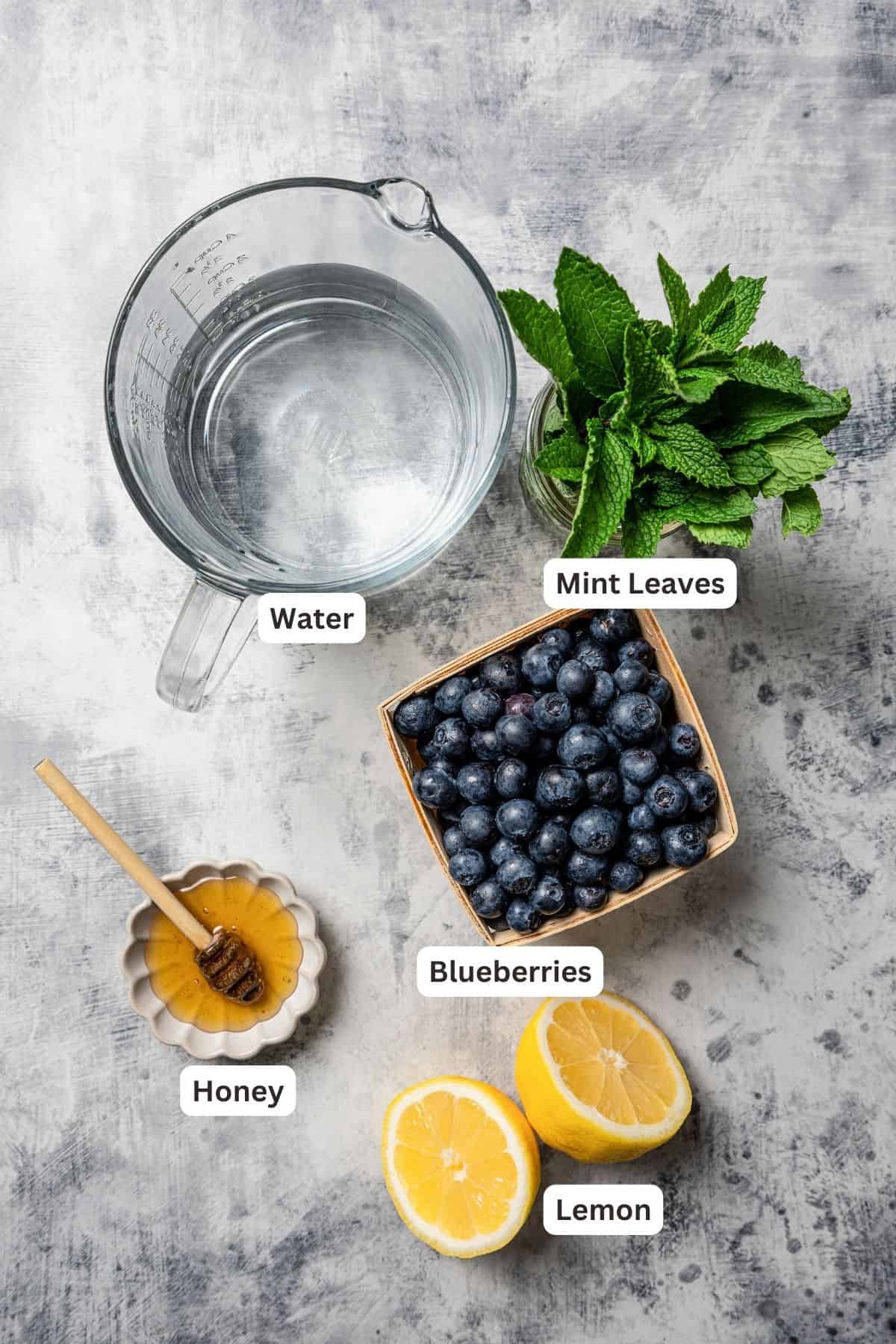 Ingredients for blueberry agua fresca with text labels overlaying each ingredient.