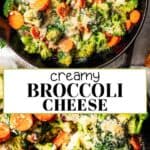 Broccoli and Cheese long Pinterest image.