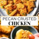 Pecan Crusted Chicken long Pinterest graphic.