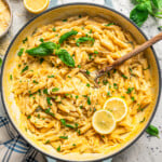 Lemon Pasta with the melted cheese sauce in the pot, and garnished with basil and lemon slices.