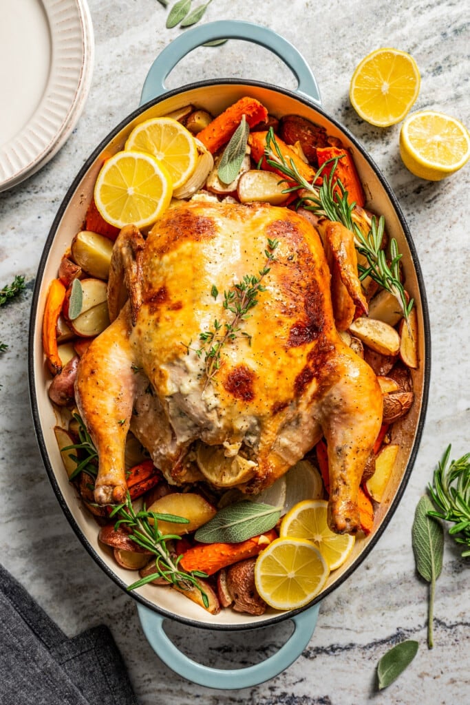 Whole roast chicken in a baking dish arranged over roasted veggies near a halved lemon.