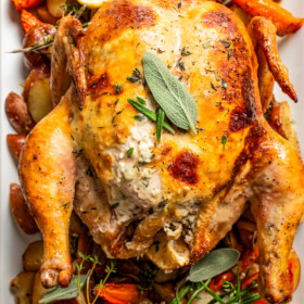 Overhead image of roast chicken on a serving platter over roasted veggies.