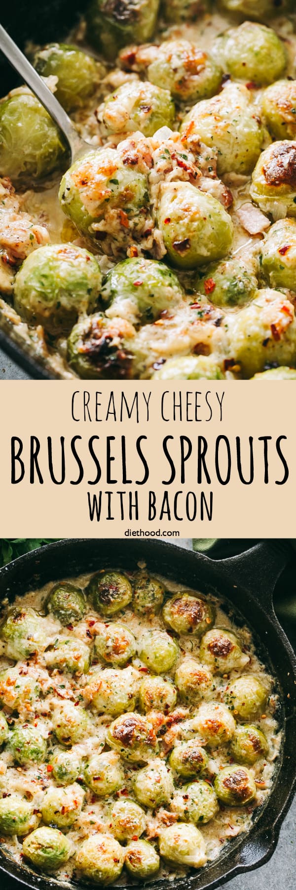 Creamy Cheesy Brussels Sprouts with Bacon | Diethood