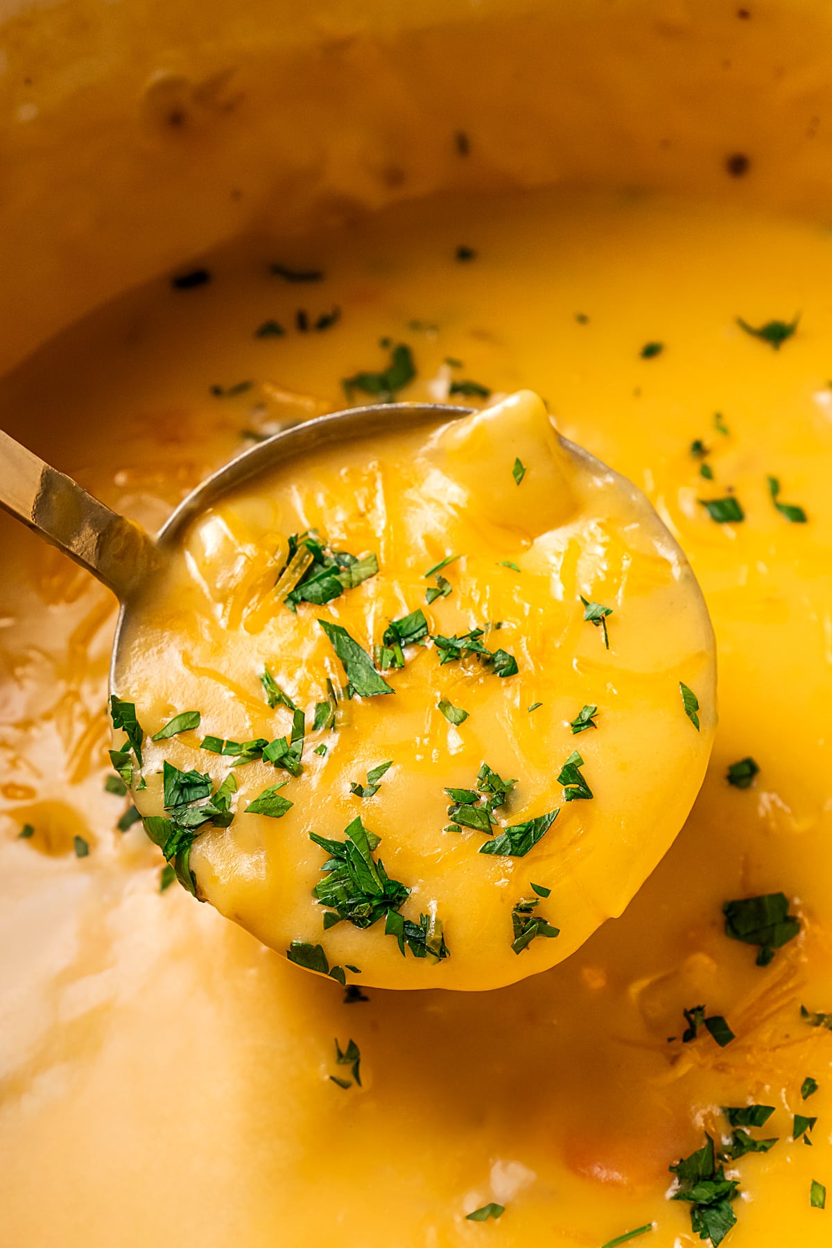 Close up of a ladle scooping beer cheese soup from a large pot.