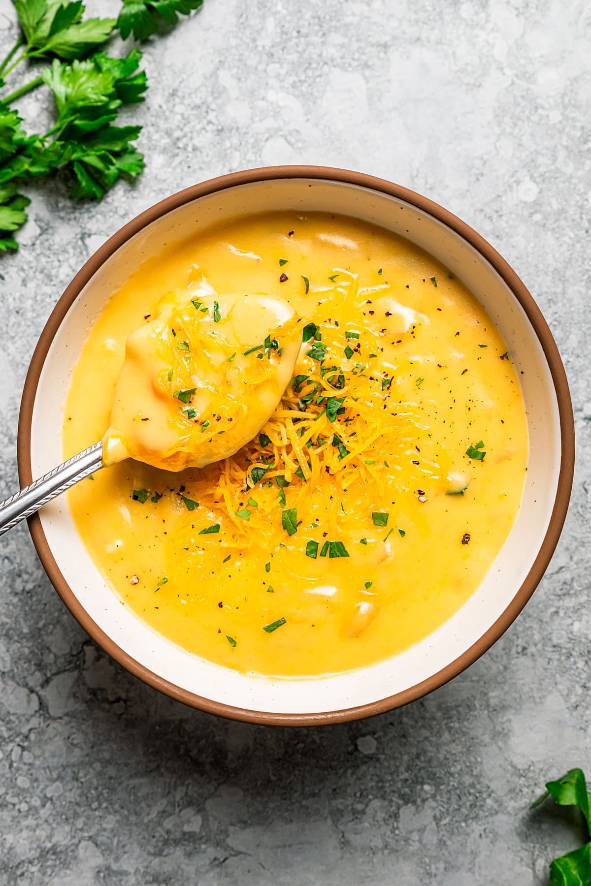 A spoonful of soup held over a bowl of beer cheese soup garnished with chopped parsley.
