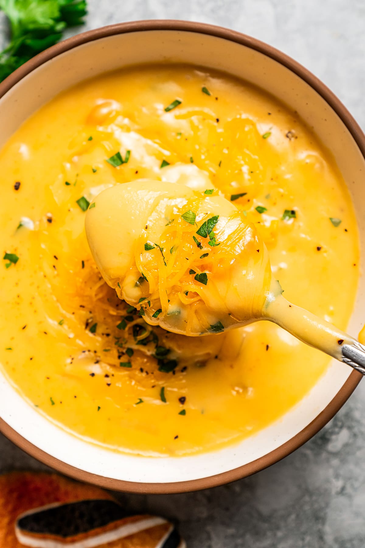 Close up overhead view of a spoonful held over a bowl of beer cheese soup garnished with chopped parsley on a countertop.