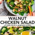 Walnut chicken salad Pinterest image.