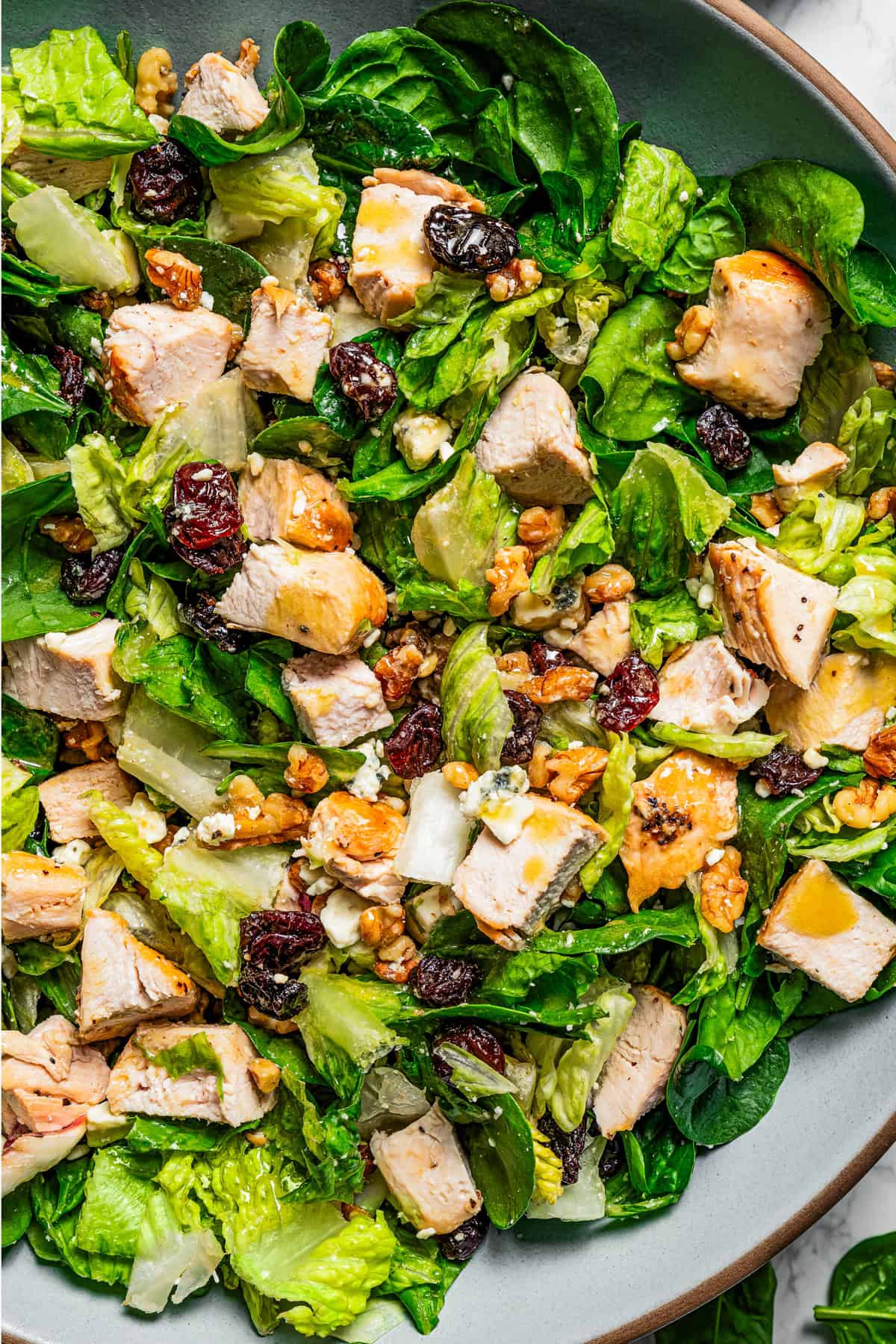 Walnut and cherry chicken salad in a large blue salad bowl.