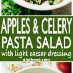 Apples and Celery Pasta Salad with Light Caesar Dressing - Penne Pasta tossed with Gala apples, celery, walnuts and a lightened-up, homemade Caesar Dressing. The textures and flavors make this salad absolutely irresistible!