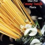 Creamy Tomato One Pot Pasta Recipe | Easy & Quick Pasta Dinner Idea