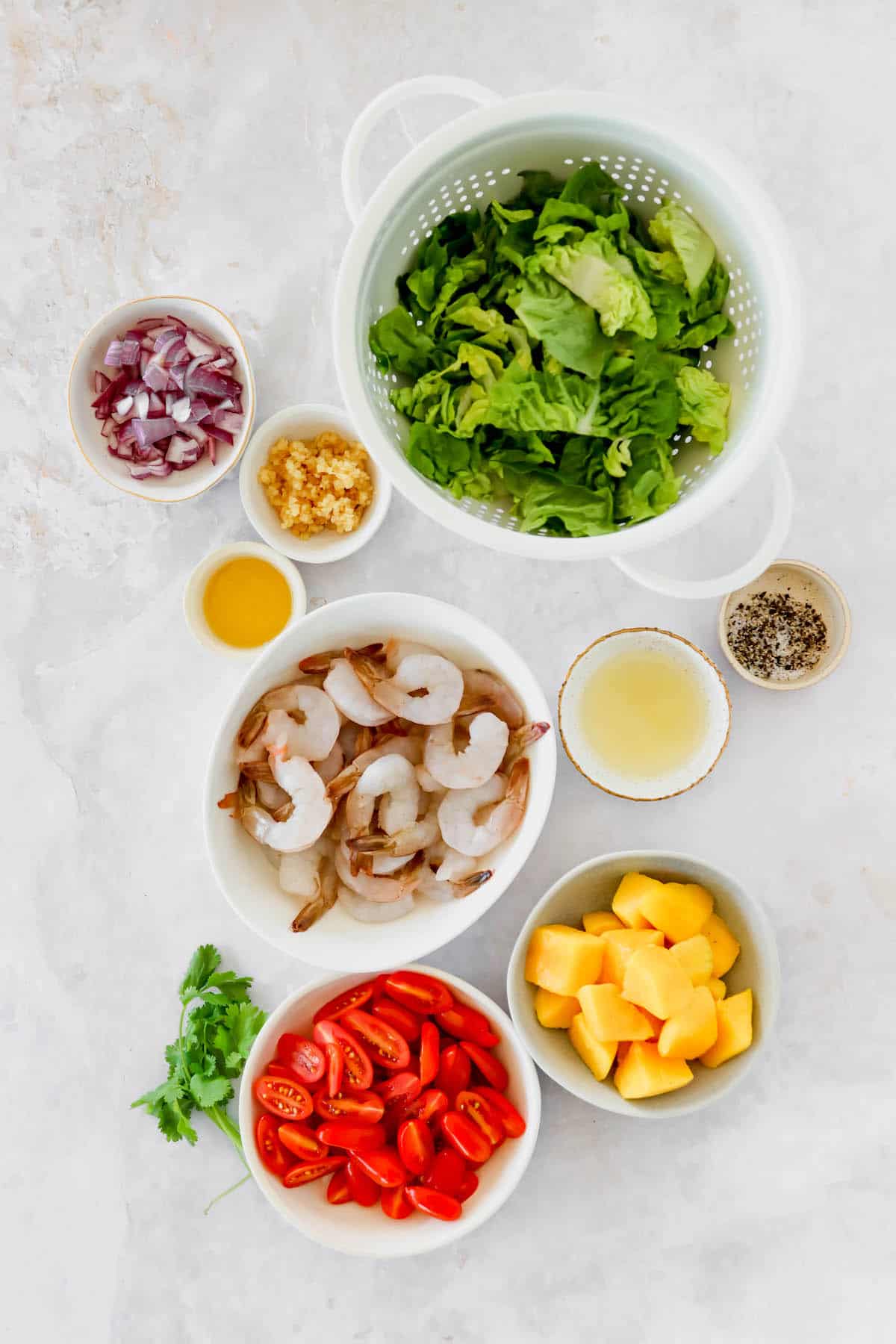Shrimp, mango, tomatoes, onion, lettuce, and garlic all measured into bowls