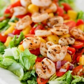 Grilled shrimp salad with mango, tomatoes and onions