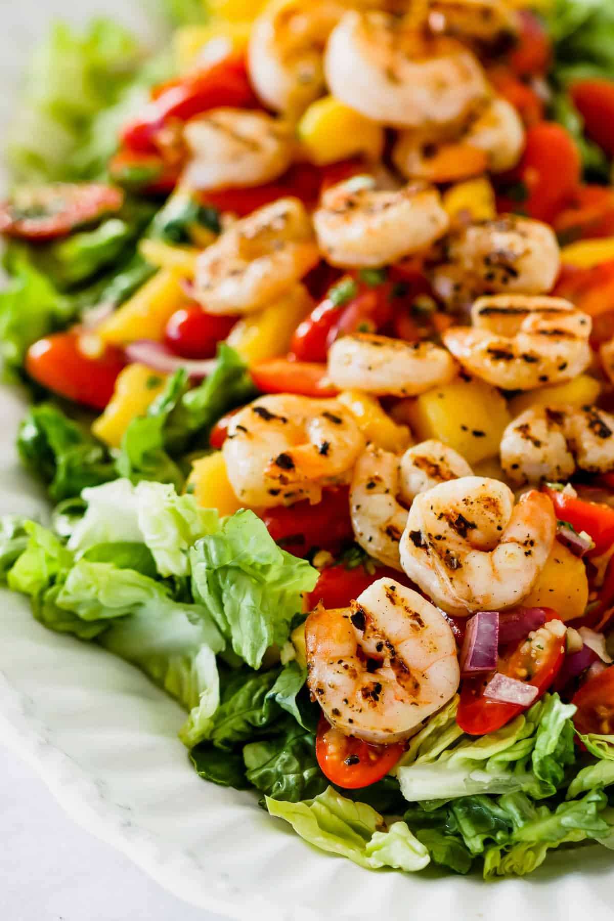 Close up of shrimp, mangoes, and cherry tomatoes arranged over salad greens.