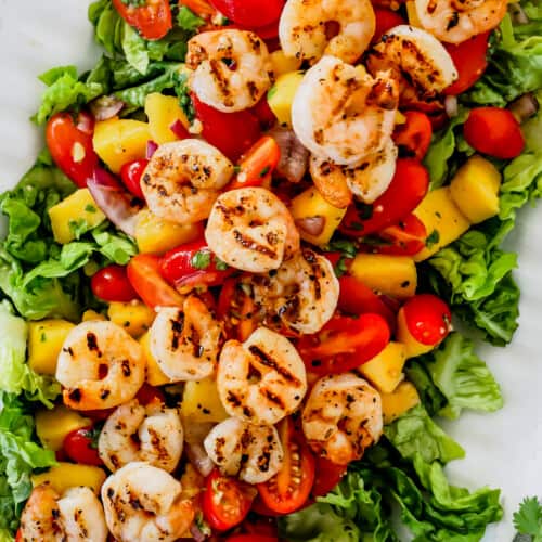 Shrimp & Mango Salad Recipe - How To Make A Shrimp & Mango Salad