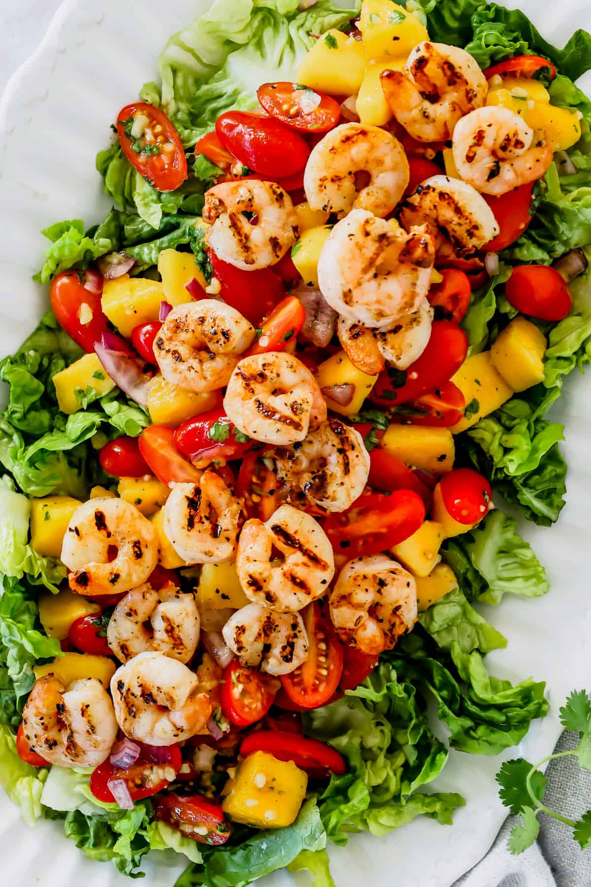 Close-up of a serving platter with shrimp, mangoes, and cherry tomatoes arranged over salad greens.