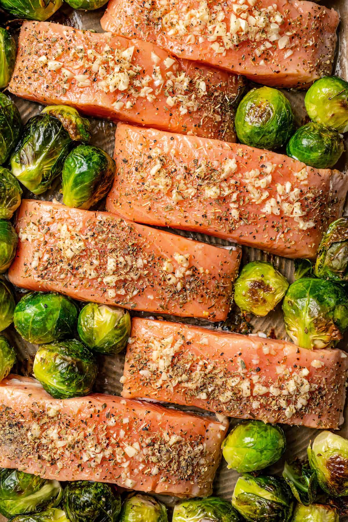 Overhead view of seasoned salmon fillets on a baking sheet surrounded by partially roasted Brussels sprouts