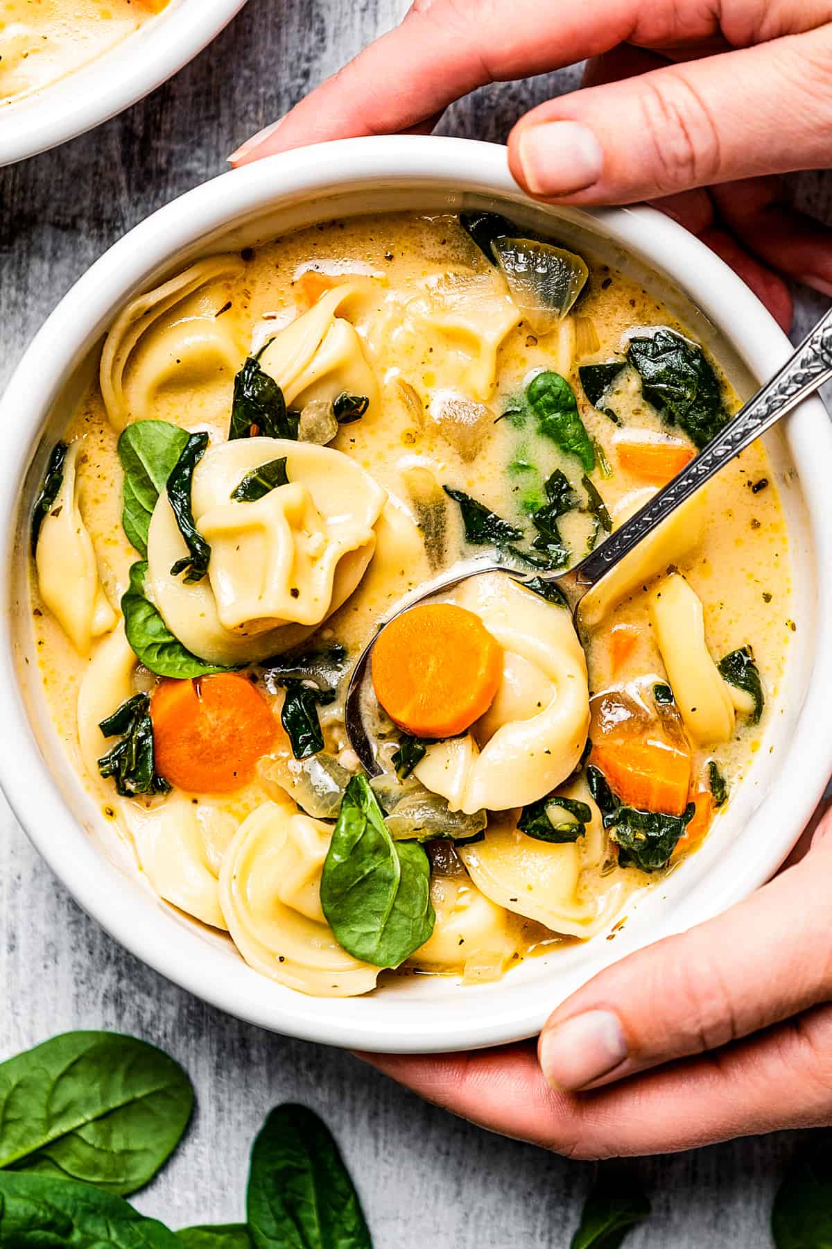 Overhead view of hands holding a bowl of cream tortellini soup with a spoon.