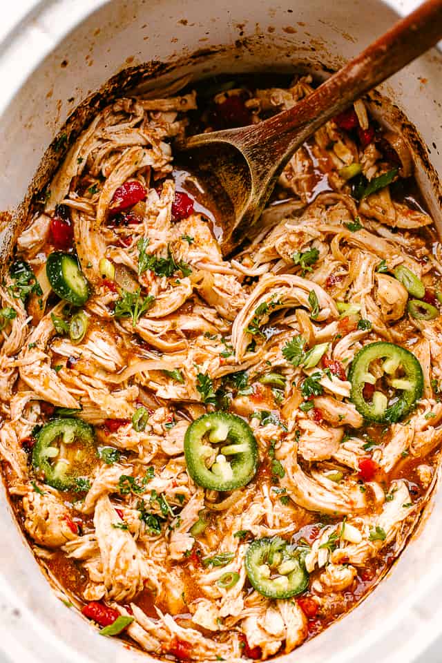 shredded salsa chicken