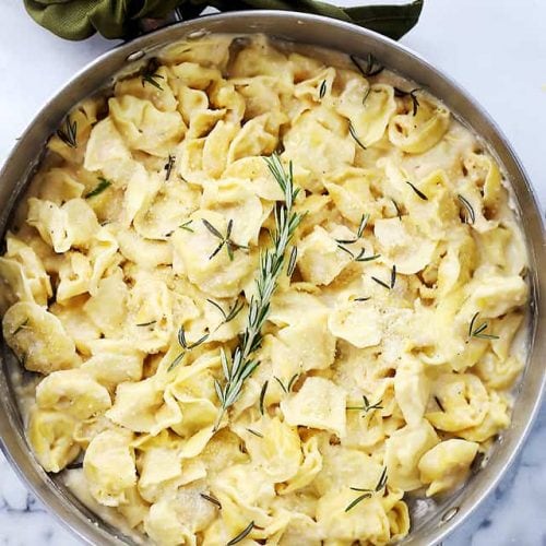 Garlic Alfredo Cheese Tortellini