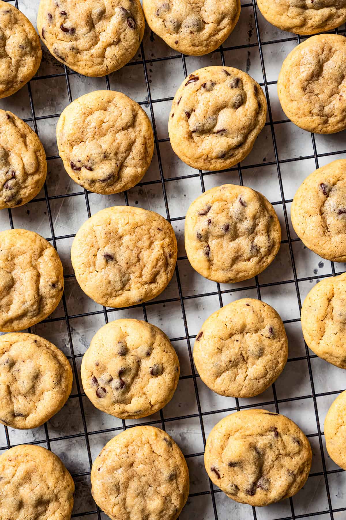 Mini chocolate chip cookies arranged on a wire rack.