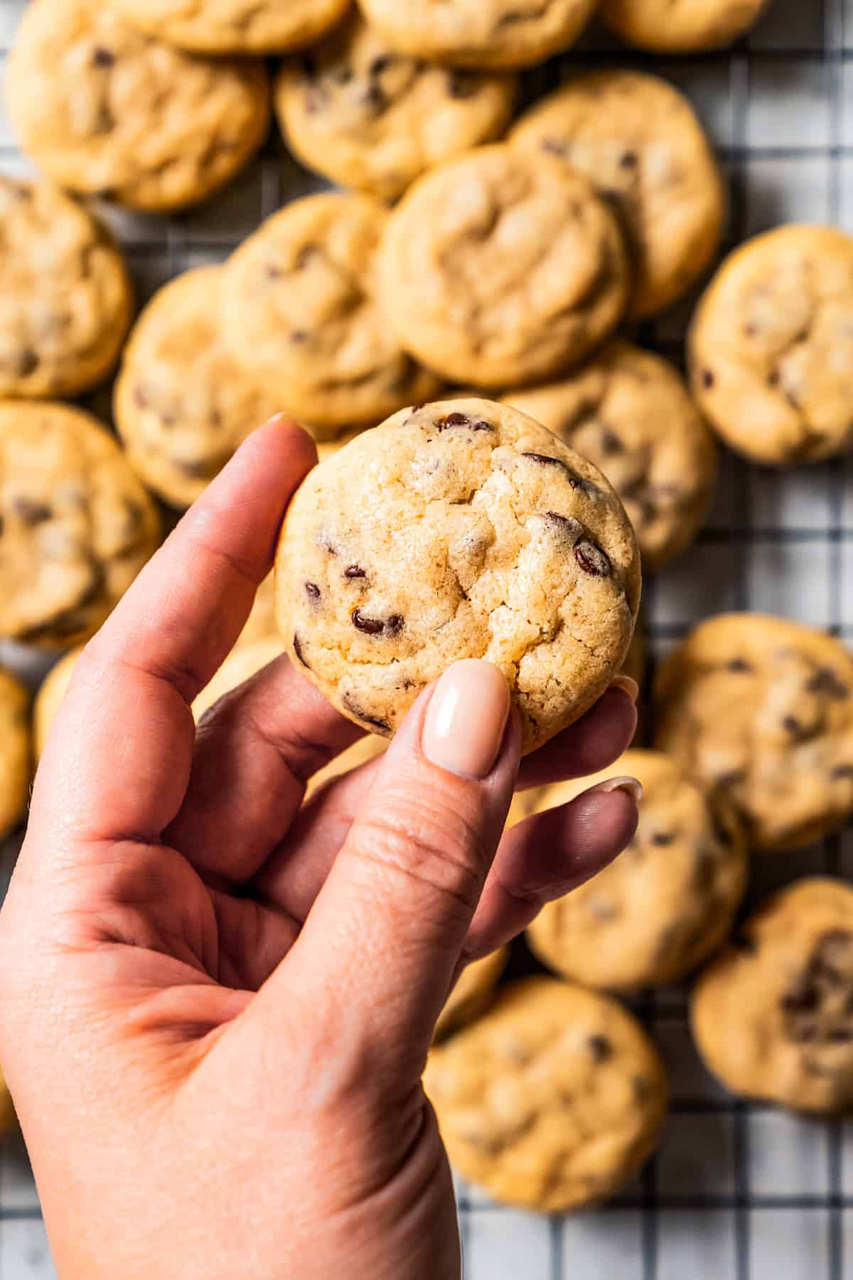 A hand holding a mini chocolate chip cookie over more cookies on a wire rack below.