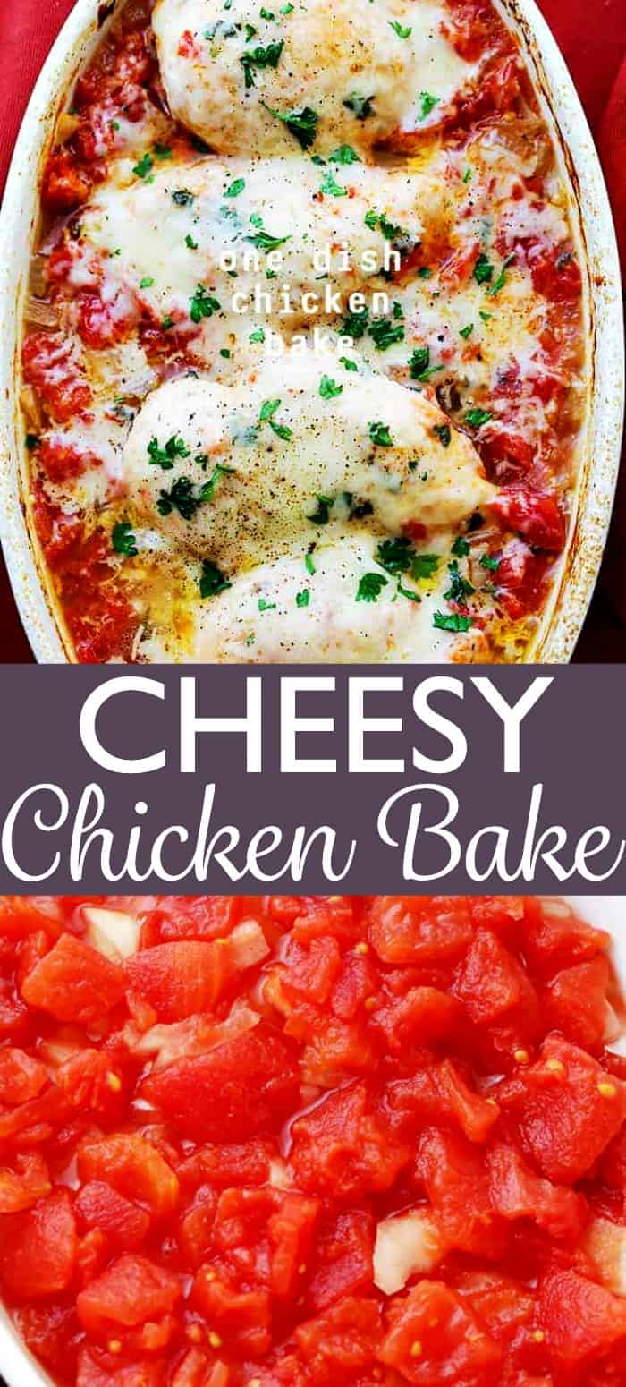 One Dish Chicken Bake Recipe | Diethood