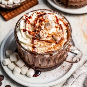 Dark hot chocolate in a glass mug topped with whipped cream and chocolate sauce, resting on a saucer next to mini marshmallows, with more marshmallows and a second mug in the background.