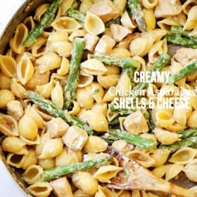 Pasta shells with chicken, asparagus, and feta cheese.