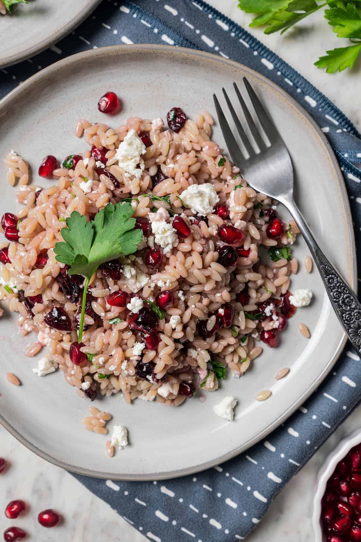 Orzo Pasta Salad with Feta Cheese and Cranberry Pomegranate Vinaigrette Recipe Image