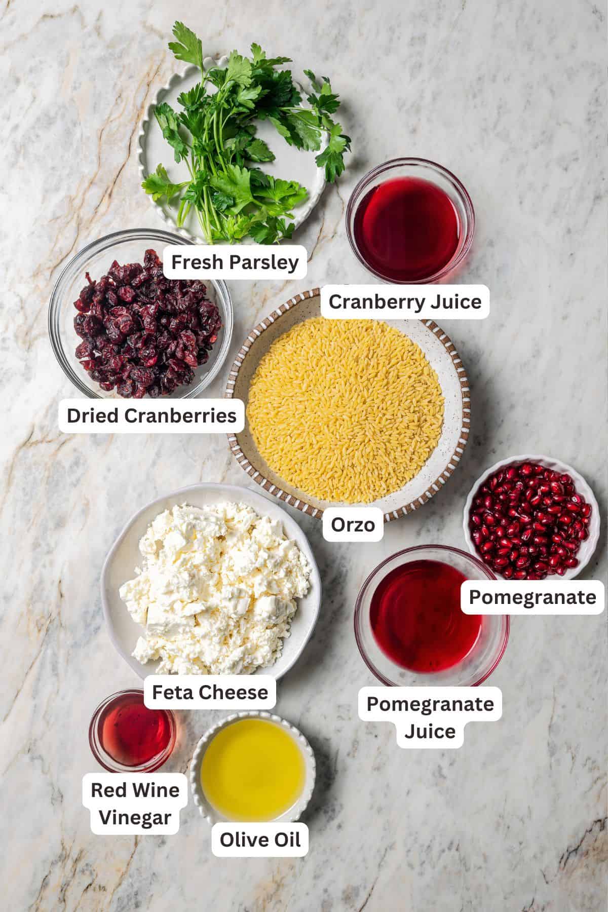 Orzo pasta salad ingredients with text labels overlaying each ingredient.